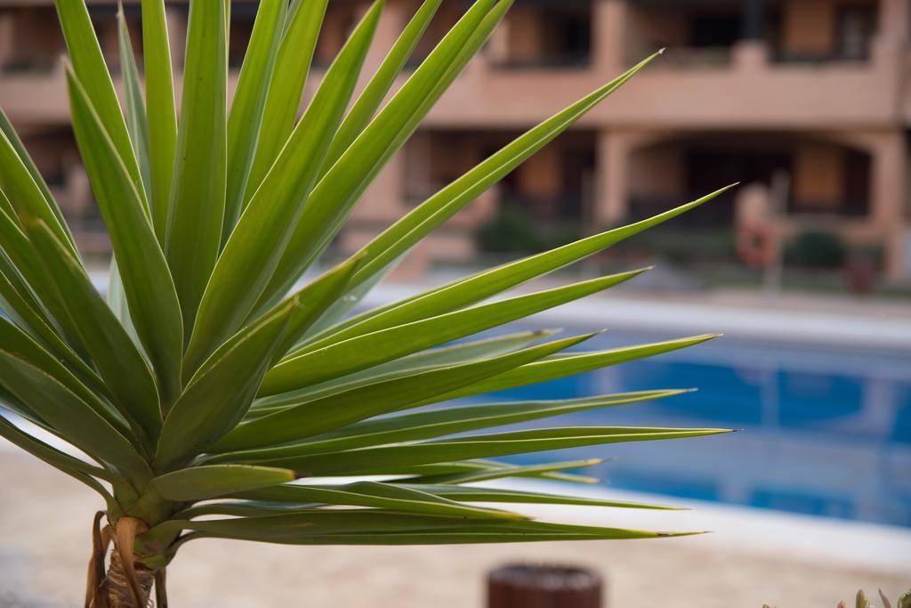 Apartamentos Turisticos Spiritmar Almerimar Ngoại thất bức ảnh